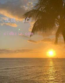 ĺ֮